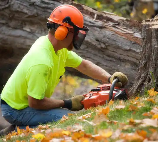 tree services Finley